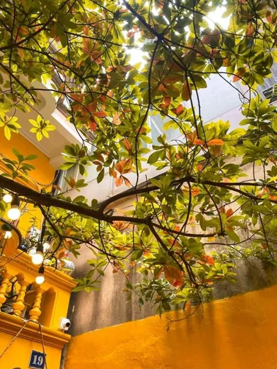 Queen-Zimmer mit Balkon — Morri Homestay - Quán Thánh